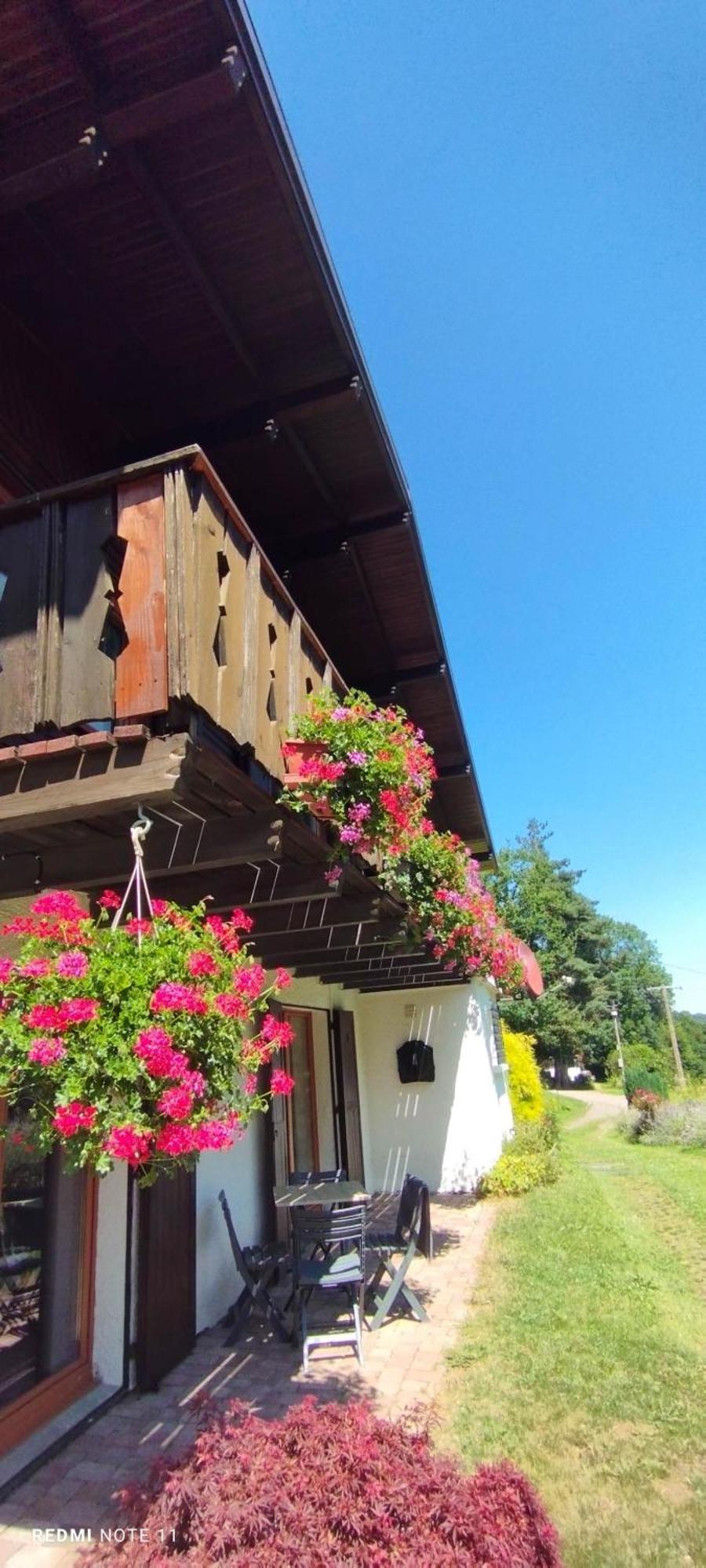 Chalet Au Bois Des Ecureuils Classe Trois Etoiles. Muhlbach-sur-Munster Εξωτερικό φωτογραφία