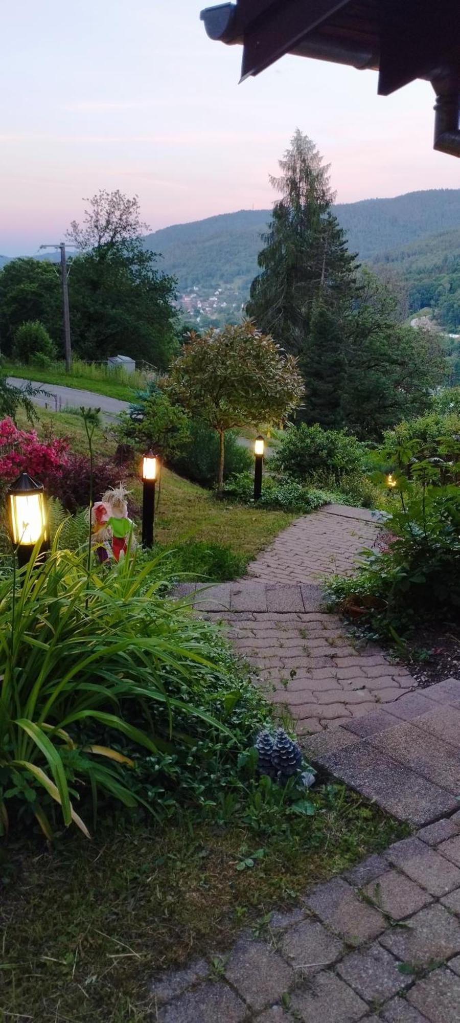 Chalet Au Bois Des Ecureuils Classe Trois Etoiles. Muhlbach-sur-Munster Εξωτερικό φωτογραφία