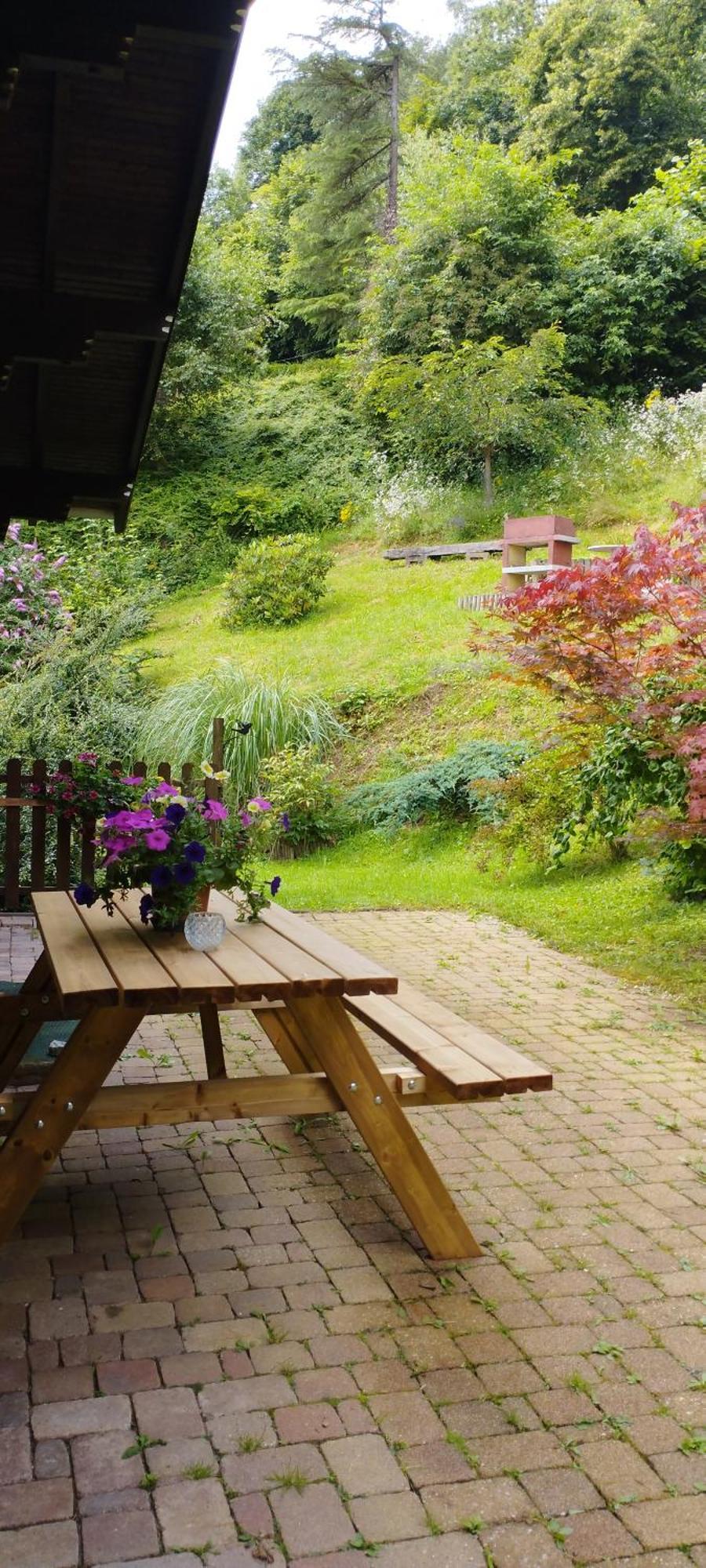 Chalet Au Bois Des Ecureuils Classe Trois Etoiles. Muhlbach-sur-Munster Εξωτερικό φωτογραφία