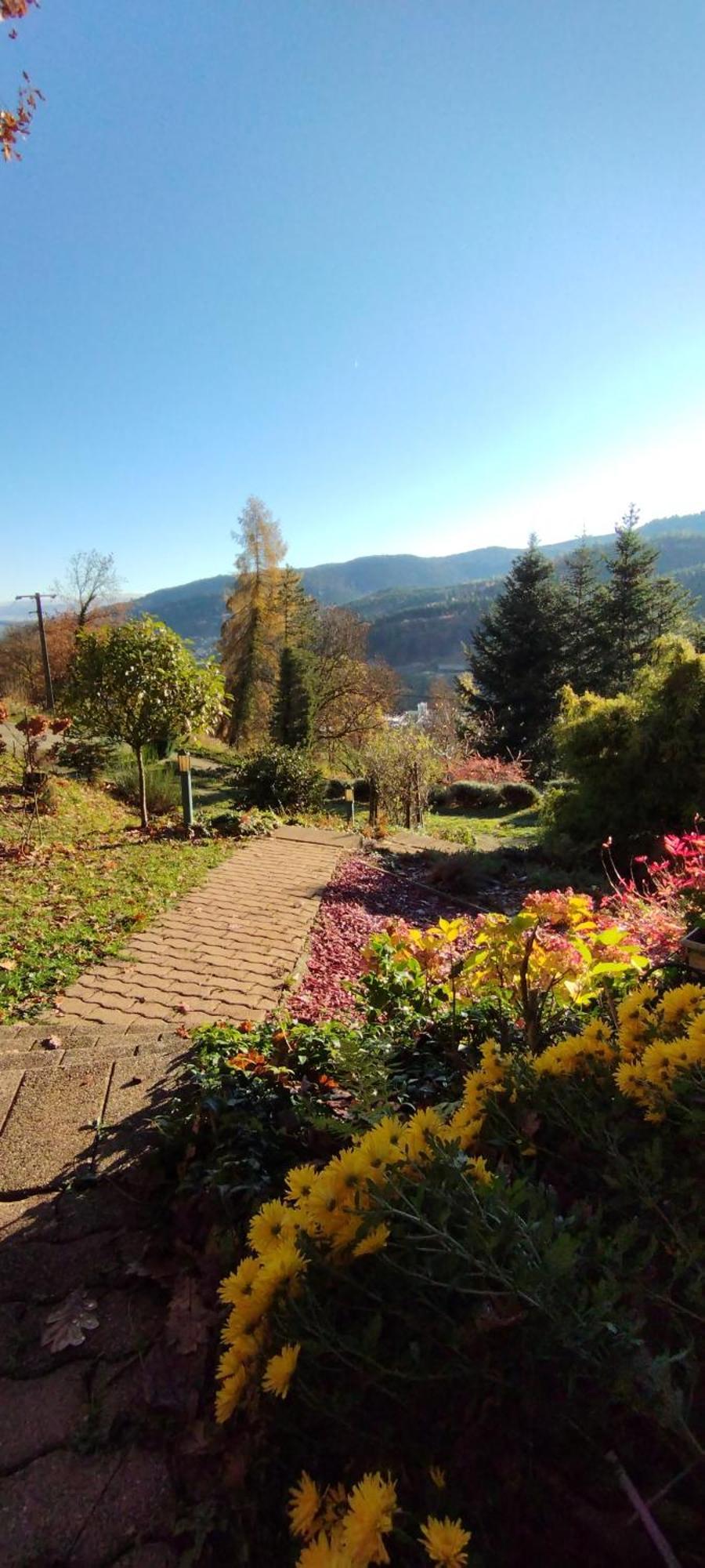 Chalet Au Bois Des Ecureuils Classe Trois Etoiles. Muhlbach-sur-Munster Εξωτερικό φωτογραφία